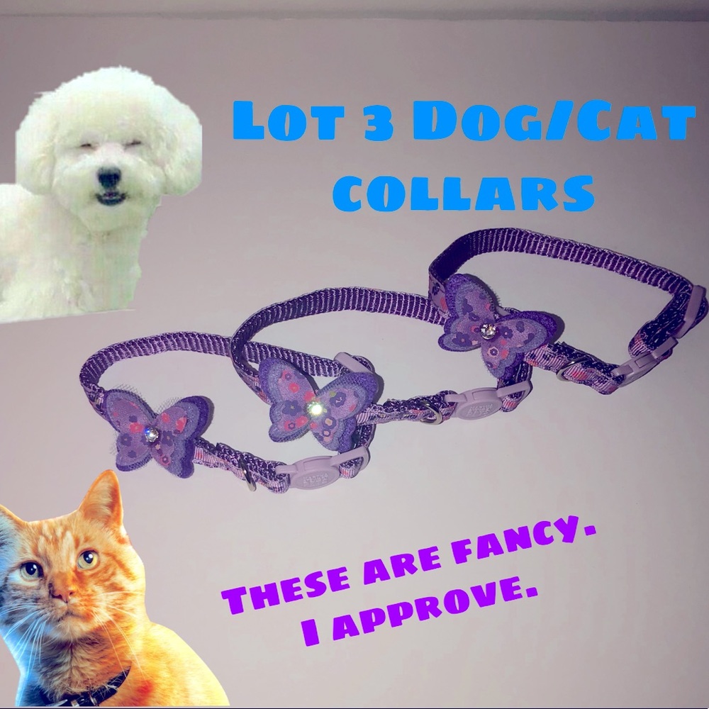 Lot of 3 Cat Collars Breakaway Style or dog